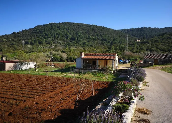 Holiday Home Cvitka